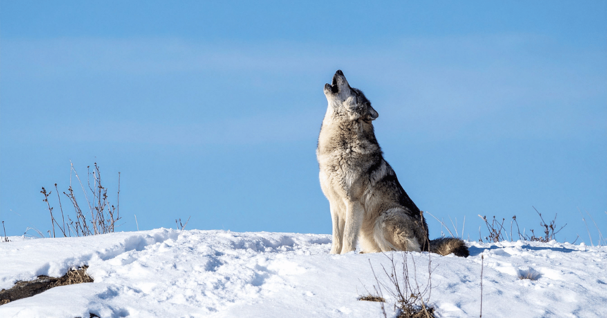 Muškarci veruju da mogu sve – ali brojke otkrivaju istinu koju mnogi ignorišu